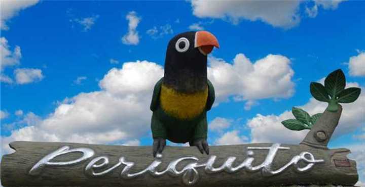 Periquito